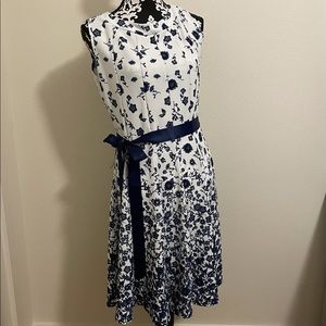 Blue & white Flair Dress